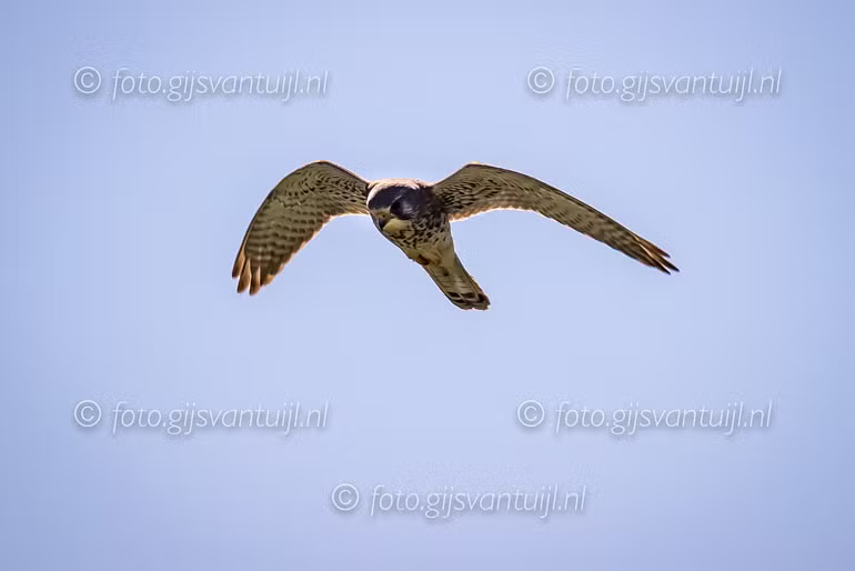 2020_04_20 Zouweboezem